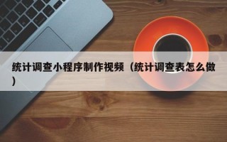 玉树统计调查小程序制作视频（统计调查表怎么做）